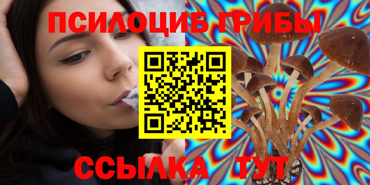 Галлюциногенные грибы MAGIC MUSHROOMS Находка