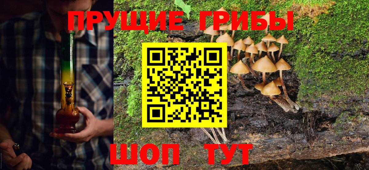 Находка  Псилоцибиновые грибы MAGIC MUSHROOMS  Псилоцибиновые грибы Cubensis  Вход с VPN 